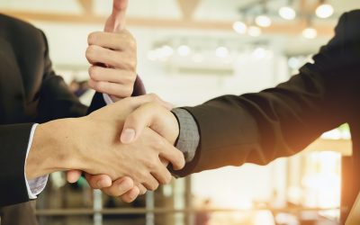 Survivre à la Jungle Entrepreneuriale : Le Rôle Crucial du Réseau Social Professionnel