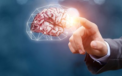Les dernières tendances en matière de stratégies SEO pour booster votre business en 2021 : étude de cas à l&rsquo;appui